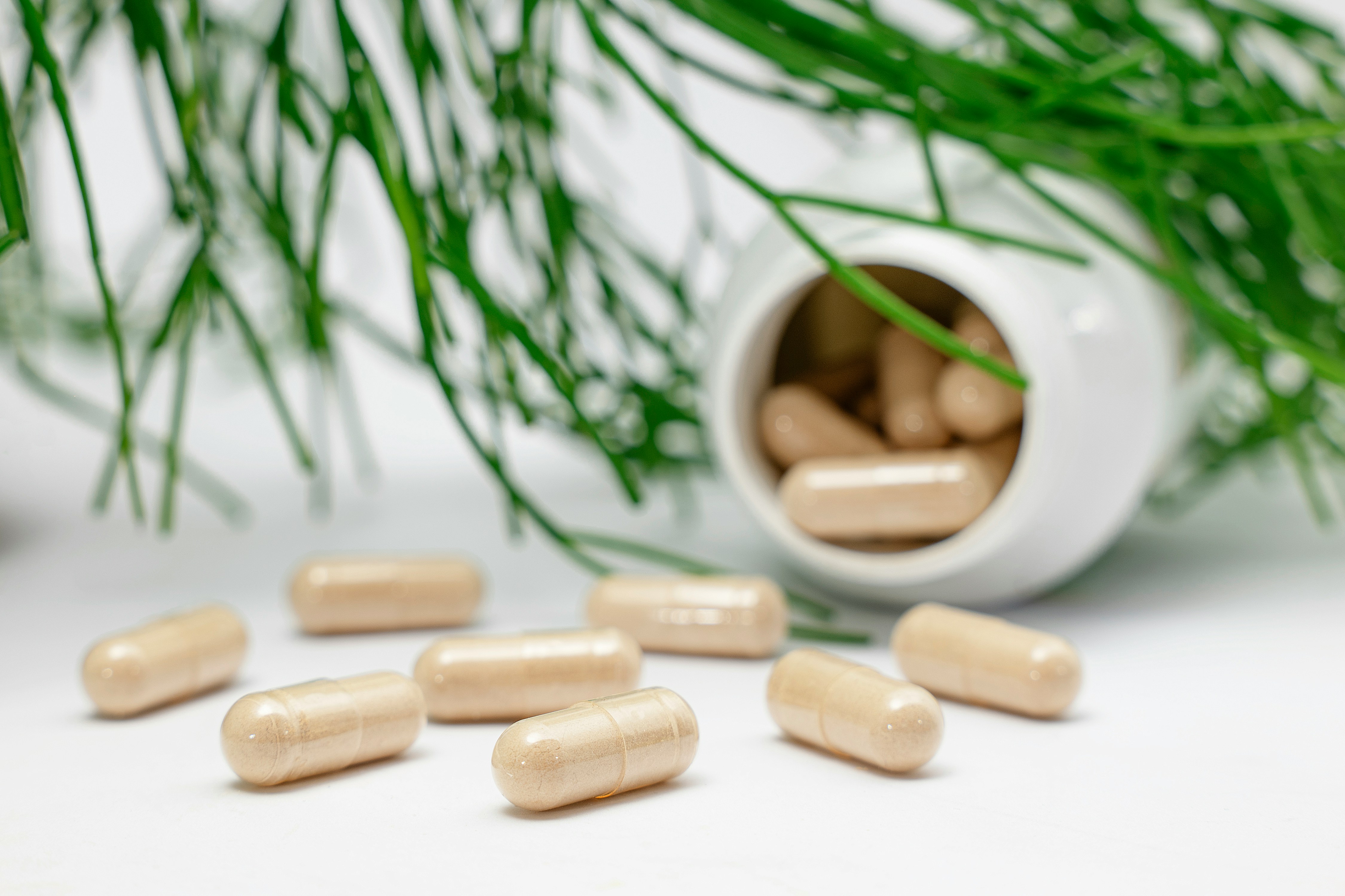 Pro and Prebiotic