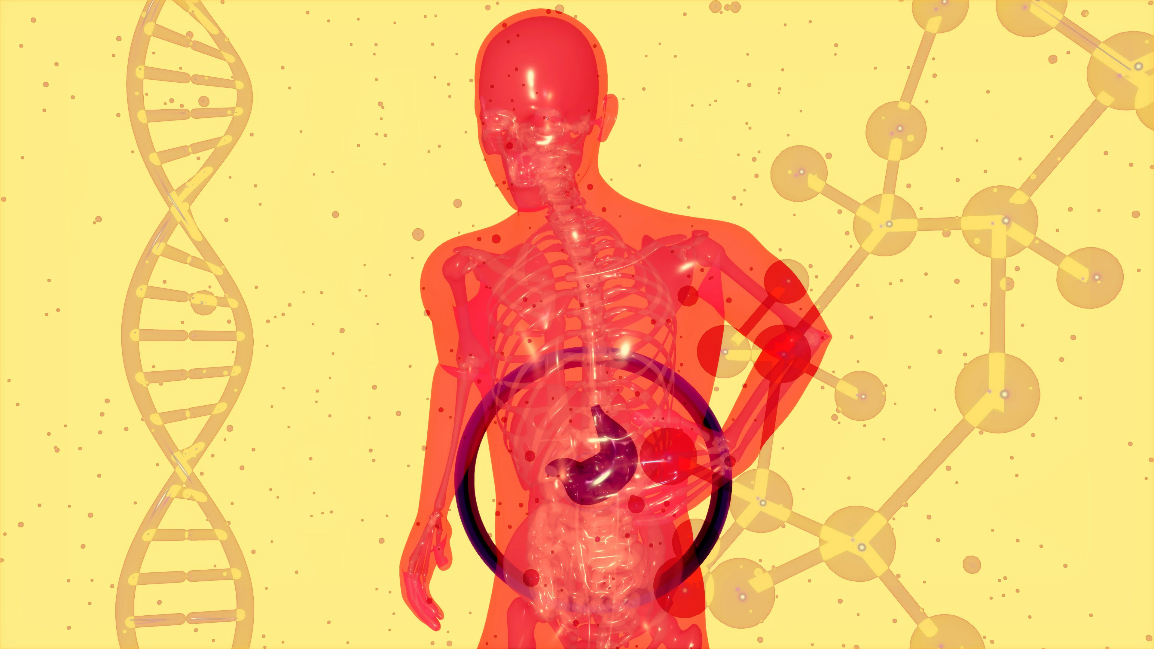Gut Testing